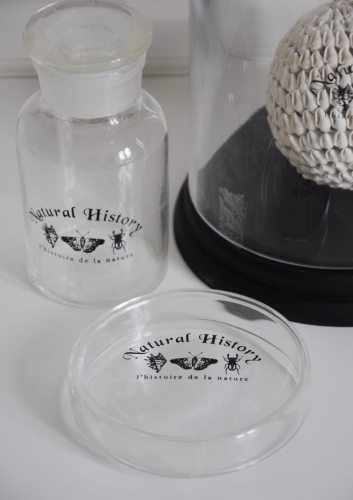 Pojemnik z transparentnego szkła