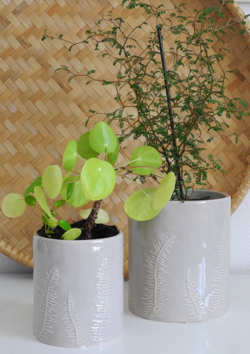 Ceramiczne osłonki FERN z wzorem gałązek – designerska dekoracja do roślin doniczkowych