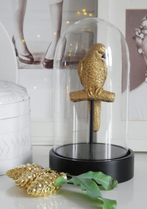 Ozdobny szklany klosz  z papugą