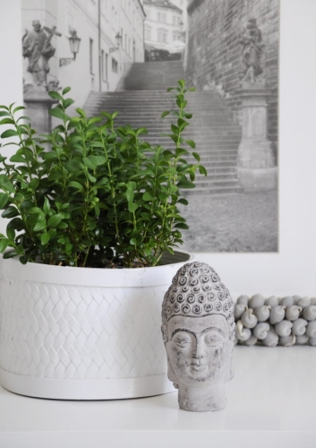 Mała betonowa głowa Buddy