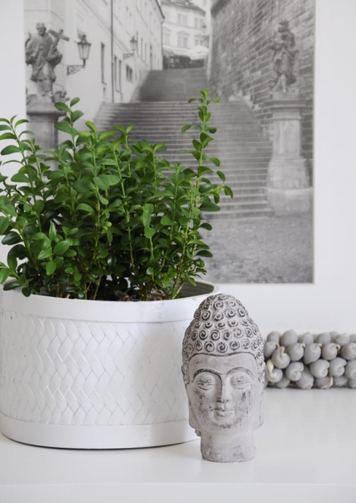 Mała betonowa głowa Buddy