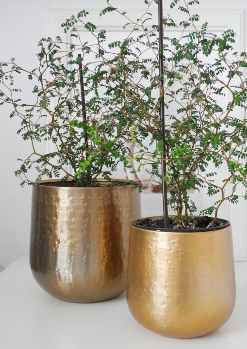 Metalowa osłonka na doniczkę w kolorze złotym