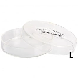 Pojemnik szklany z owadami