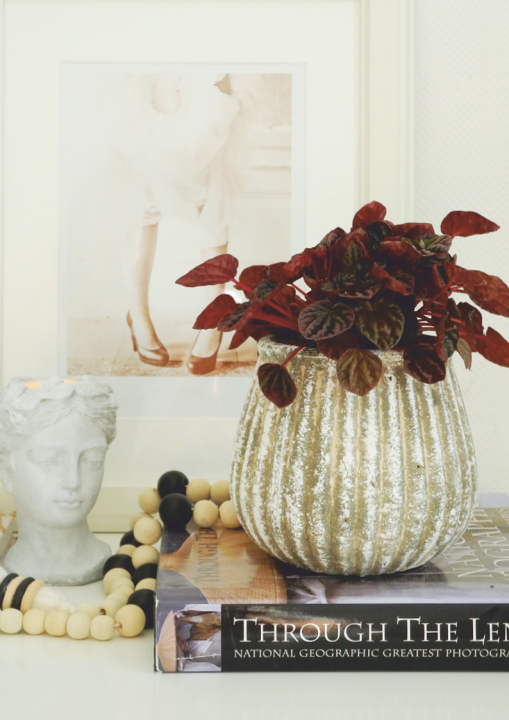 Ceramiczna osłonka na doniczkę w stylu rustykalnym