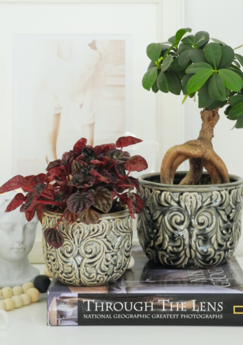 Komplet dwóch zielonych osłonek ceramicznych na doniczki z roślinnym wypukłym wzorem w stylu vintage