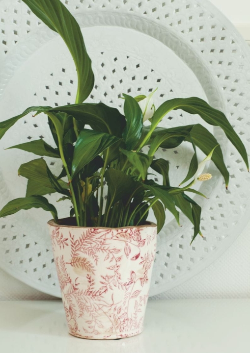 Ceramiczna osłonka w roślinny czerwony wzór styl wabi-sabi