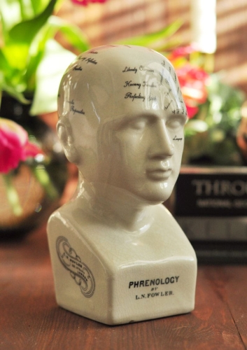 Ceramiczna dekoracyjna głowa medyczna Phrenology