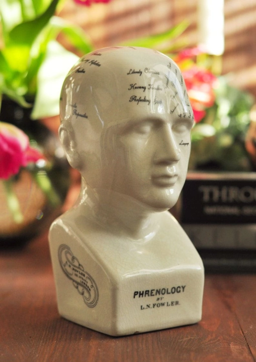 Ceramiczna dekoracyjna głowa medyczna Phrenology