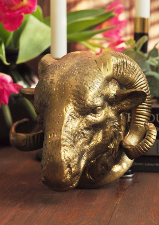 Złote poroże barana do zawieszenia