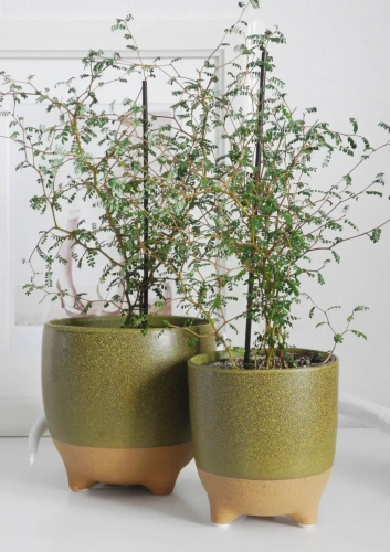 Osłonki na nóżkach ceramiczne w kolorze oliwkowej zieleni i naturalnego beżu, zestaw dwóch sztuk w stylu japandi i boho.