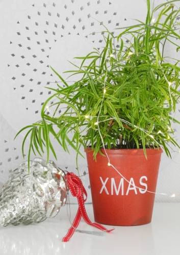 Czerwona świąteczna osłonka na doniczkę