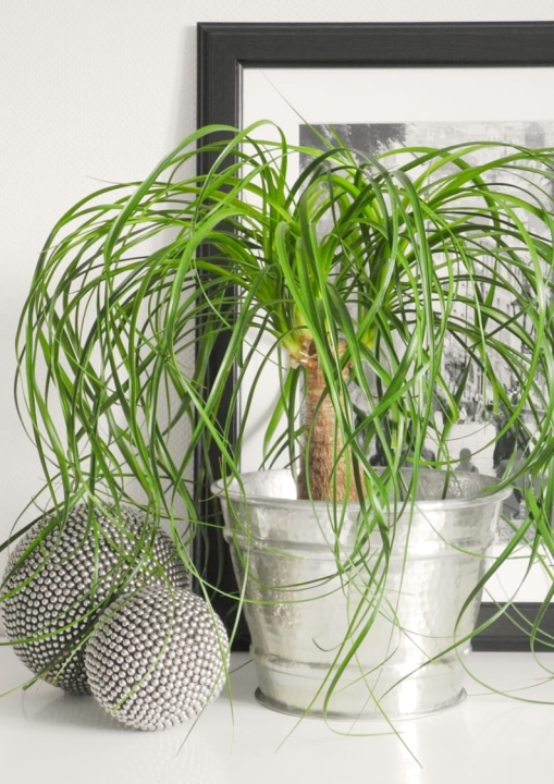 Metalowa osłonka na doniczkę