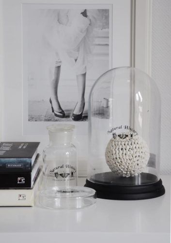 Pojemnik ze szkła z grafika owadów