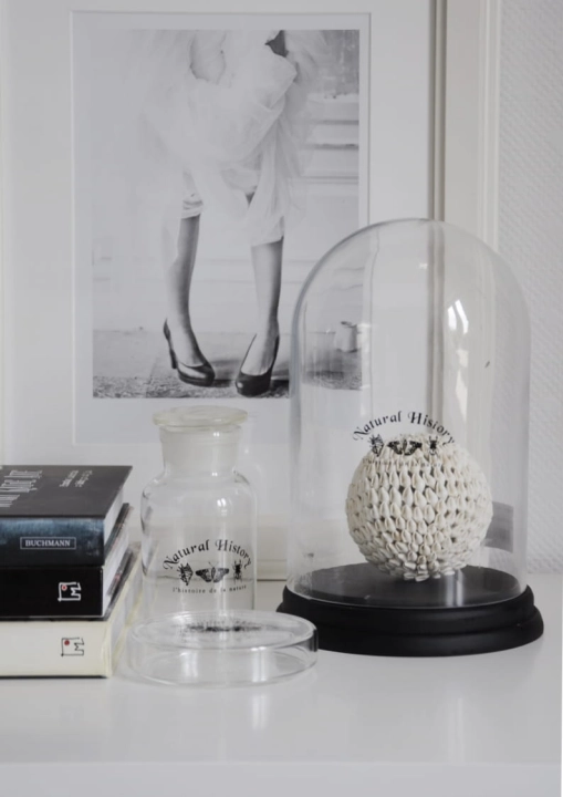 Pojemnik ze szkła z grafika owadów